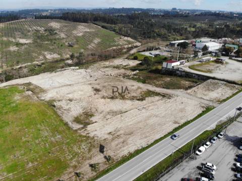 Terreno para vender em Nelas