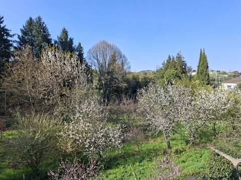 Apartamento T3 para arrendar em Viseu