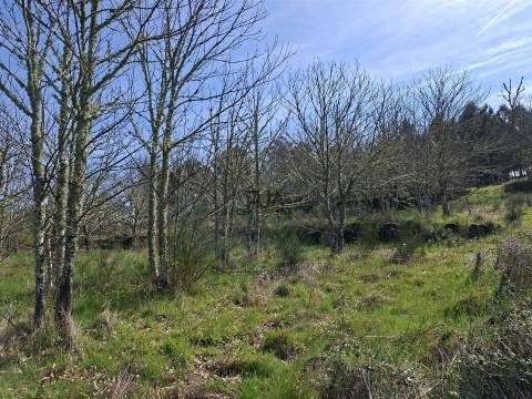 Terreno Para Construção  Venda em Algodres,Fornos de Algodres