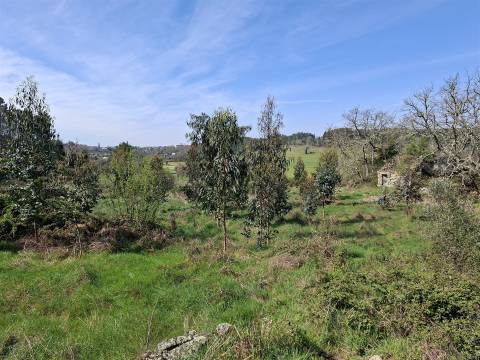 Terreno Para Construção  Venda em Algodres,Fornos de Algodres