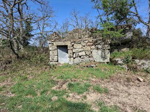Terreno Para Construção  Venda em Algodres,Fornos de Algodres