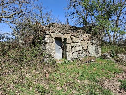 Terreno Para Construção  Venda em Algodres,Fornos de Algodres