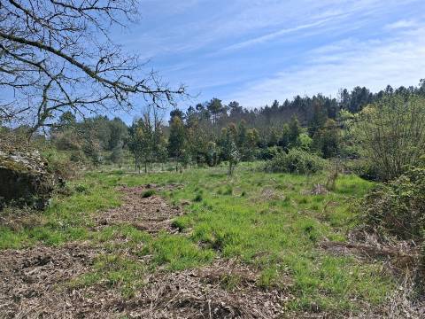 Terreno Para Construção  Venda em Algodres,Fornos de Algodres