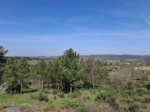 Terreno Para Construção  Venda em Algodres,Fornos de Algodres