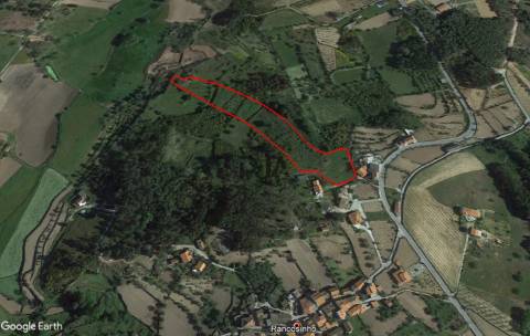Terreno Para Construção  Venda em Algodres,Fornos de Algodres