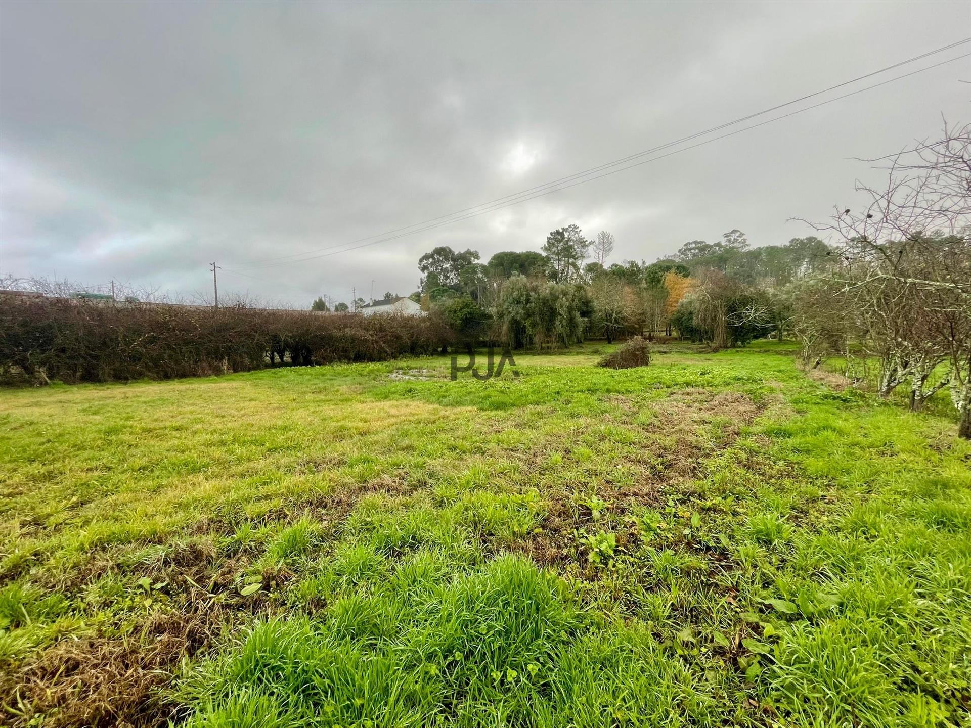 Terreno Rústico em Canedo do chão, Mangualde