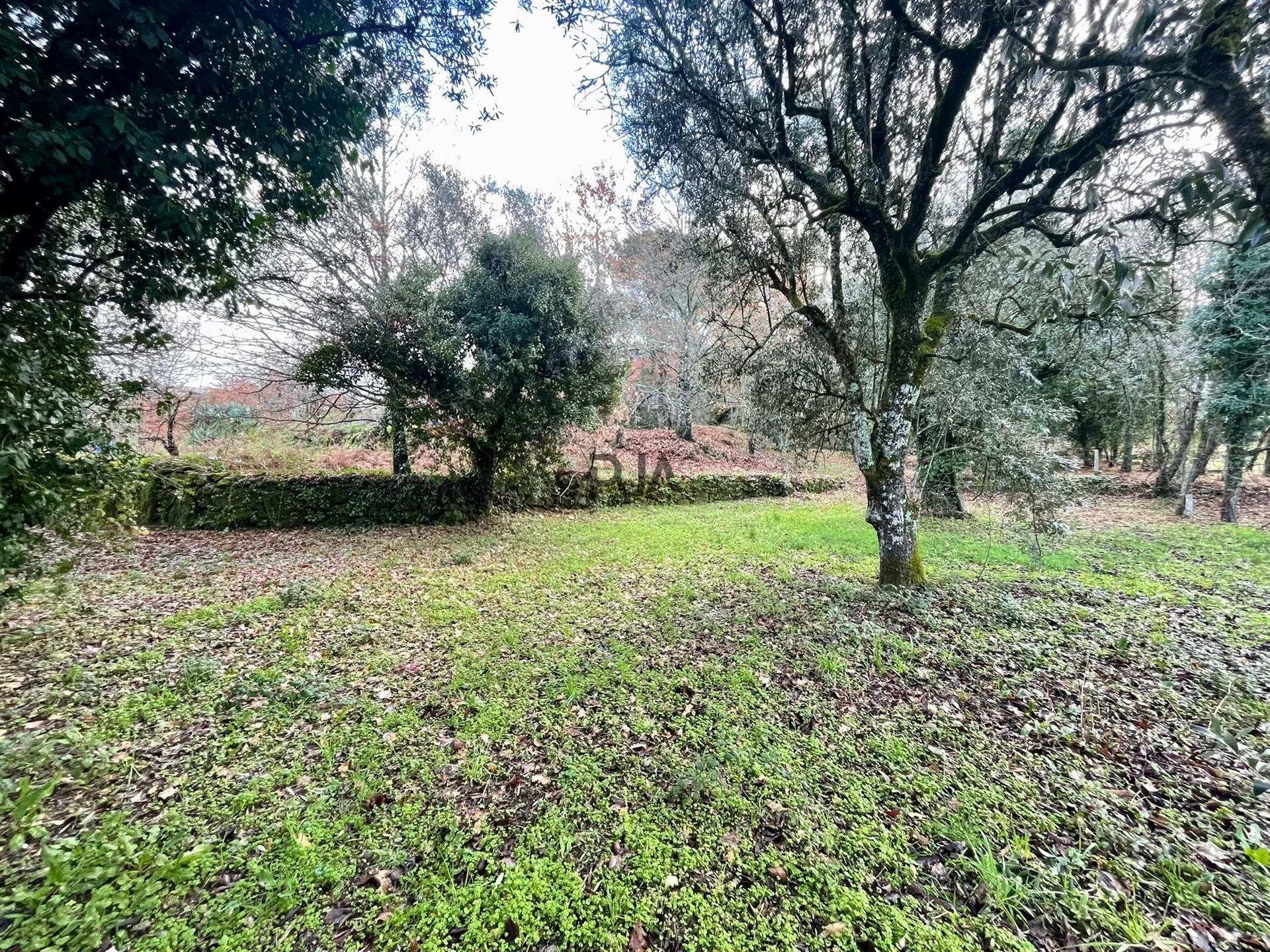 Terreno Rústico em Canedo do chão, Mangualde