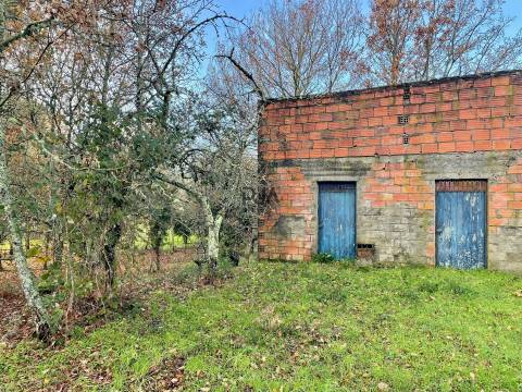 Terreno Rústico em Canedo do chão, Mangualde