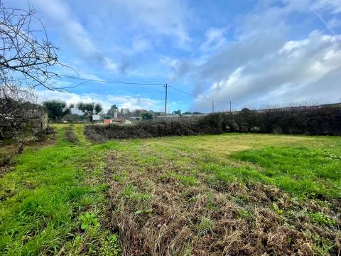 Terreno Rústico em Canedo do chão, Mangualde