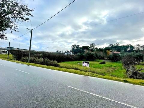 Terreno Rústico em Canedo do chão, Mangualde
