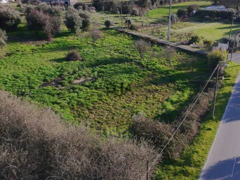 Terreno Rústico em Canedo do chão, Mangualde