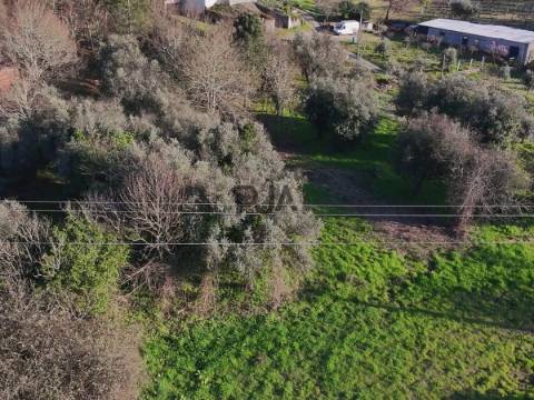 Terreno Rústico em Canedo do chão, Mangualde