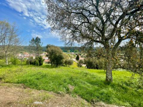 Terreno para Construção em Vila Moinhos, Mortágua