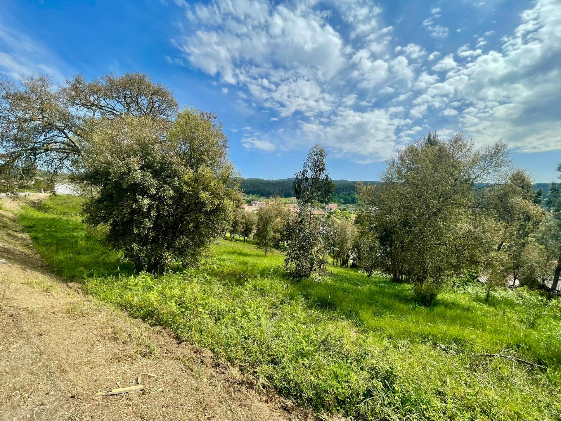 Terreno para Construção em Vila Moinhos, Mortágua