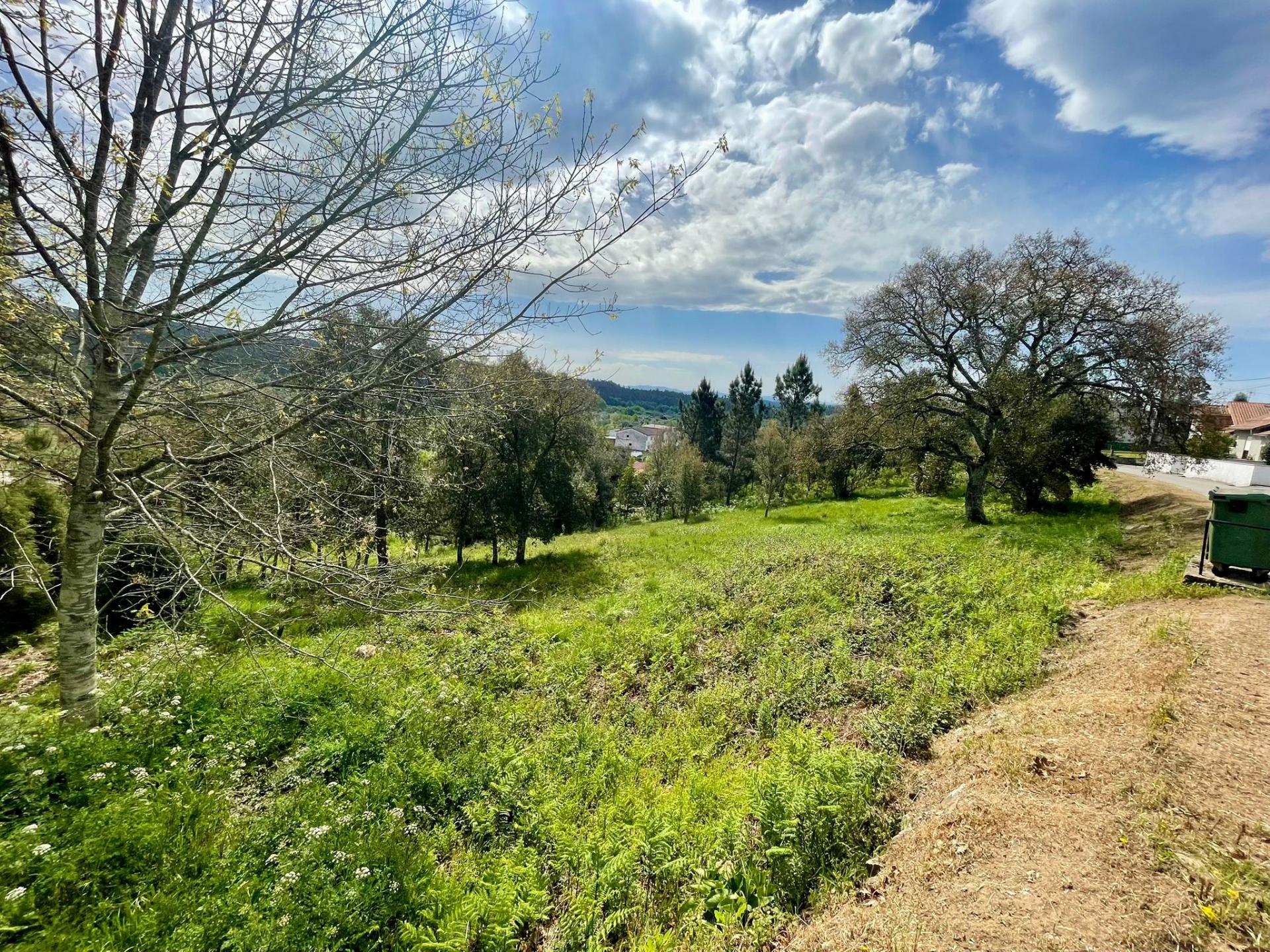 Terreno para Construção em Vila Moinhos, Mortágua