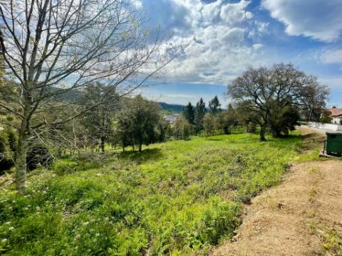 Terreno para Construção em Vila Moinhos, Mortágua