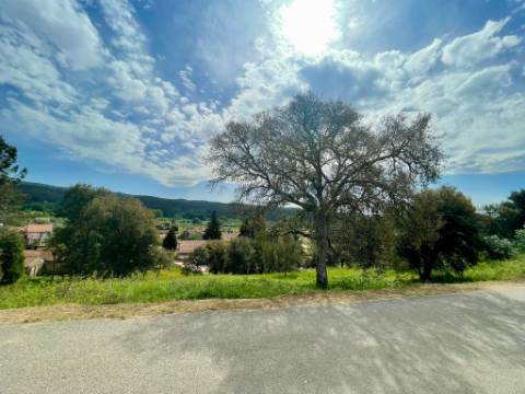 Terreno para Construção em Vila Moinhos, Mortágua
