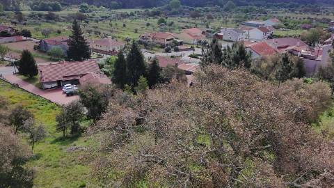 Terreno para Construção em Vila Moinhos, Mortágua