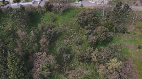 Terreno para Construção em Vila Moinhos, Mortágua