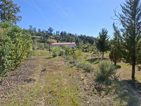 Quinta T3 com 7,6Ha em Insua, Penalva do Castelo