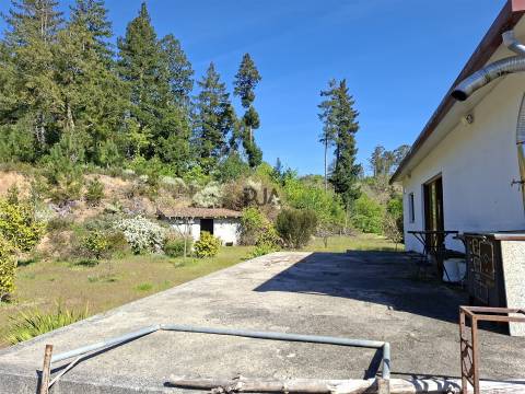 Quinta T3 com 7,6Ha em Insua, Penalva do Castelo