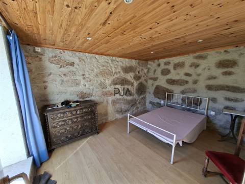 Quinta T3 com 7,6Ha em Insua, Penalva do Castelo