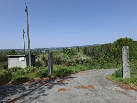 Quinta T3 com 7,6Ha em Insua, Penalva do Castelo