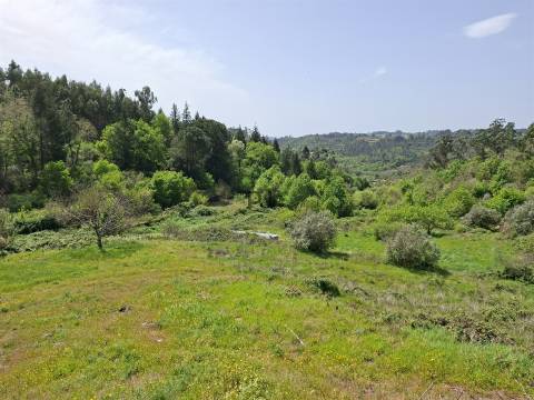 Quinta T3 com 7,6Ha em Insua, Penalva do Castelo