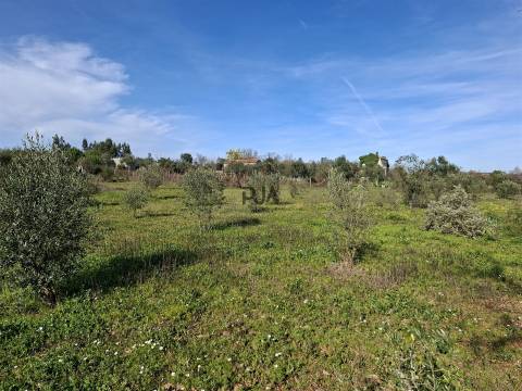Quinta com 4,6Ha em Mangualde