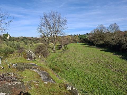 Quinta com 4,6Ha em Mangualde