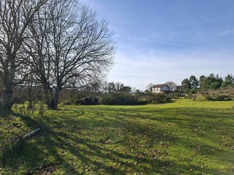 Quinta com 4,6Ha em Mangualde