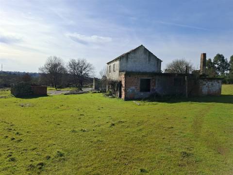 Quinta com 4,6Ha em Mangualde