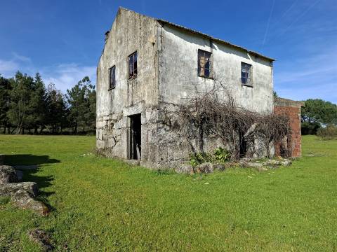 Quinta com 4,6Ha em Mangualde
