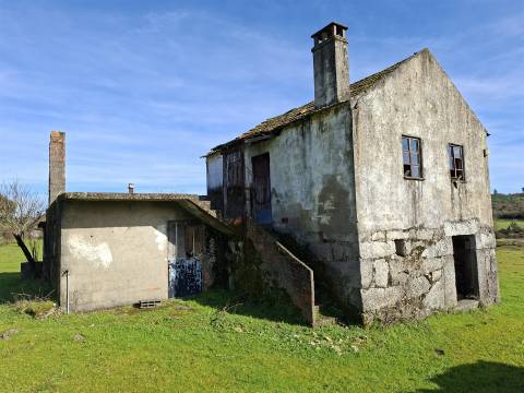 Quinta com 4,6Ha em Mangualde