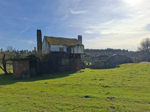 Quinta com 4,6Ha em Mangualde