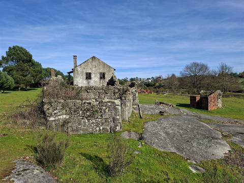 Quinta com 4,6Ha em Mangualde