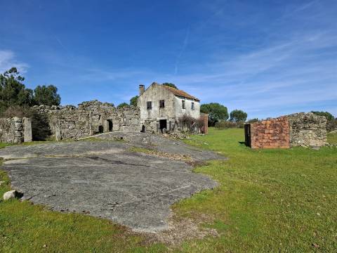 Quinta com 4,6Ha em Mangualde