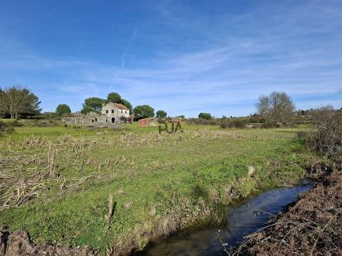 Quinta com 4,6Ha em Mangualde