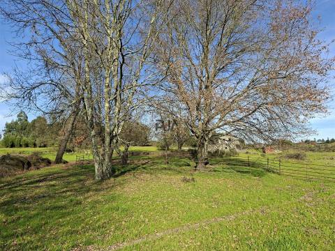 Quinta com 4,6Ha em Mangualde