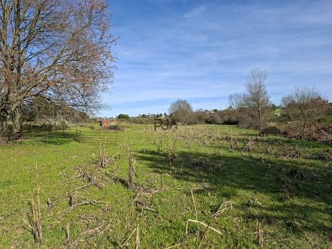 Quinta com 4,6Ha em Mangualde