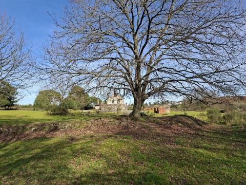 Quinta com 4,6Ha em Mangualde
