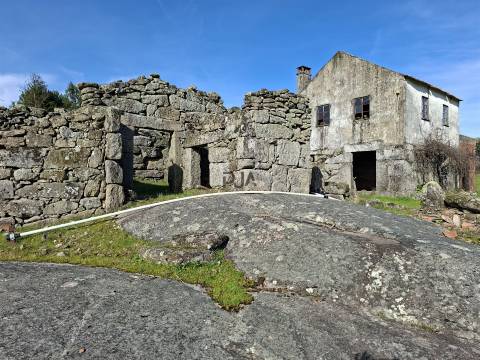 Quinta com 4,6Ha em Mangualde