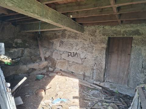 Quinta com 4,6Ha em Mangualde