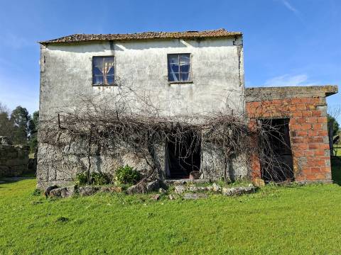 Quinta com 4,6Ha em Mangualde