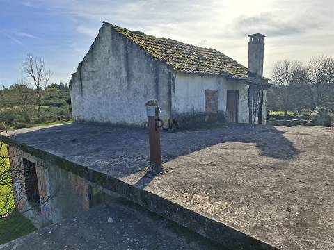 Quinta com 4,6Ha em Mangualde