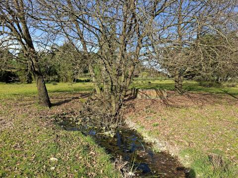 Quinta com 4,6Ha em Mangualde