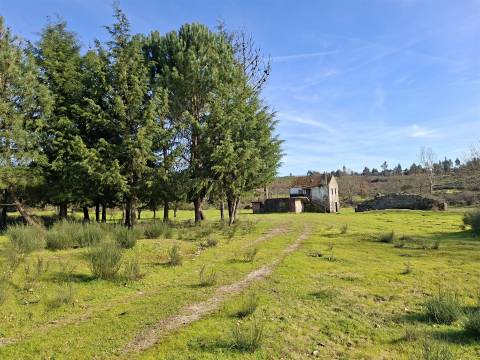 Quinta com 4,6Ha em Mangualde