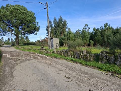 Quinta com 4,6Ha em Mangualde