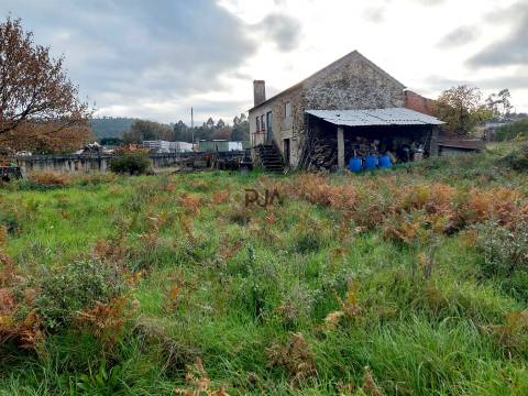 Terreno com viabilidade construtiva em Quintela de Azurara, Mangualde