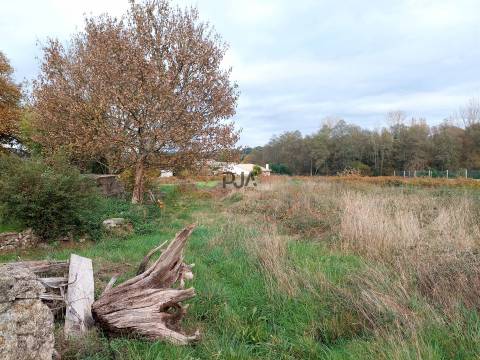 Terreno para construção em Quintela de Azurara, Mangualde